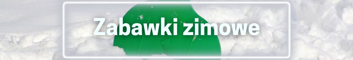 Zabawki zimowe